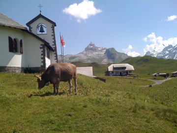 Melchsee-Frutt/Tannen