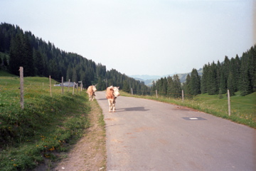 Mittelberg/Grubenbergpass