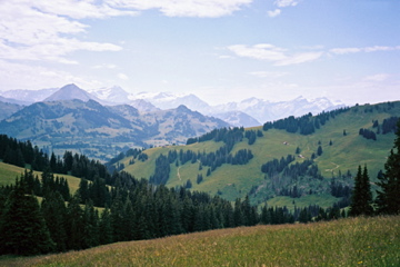 Vorder Schwarzesee (Sparenmoos)