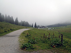 Mitterbergsattel (Arthurhaus)