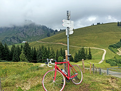 Auf der Scheid (Hllritzer Alpe)