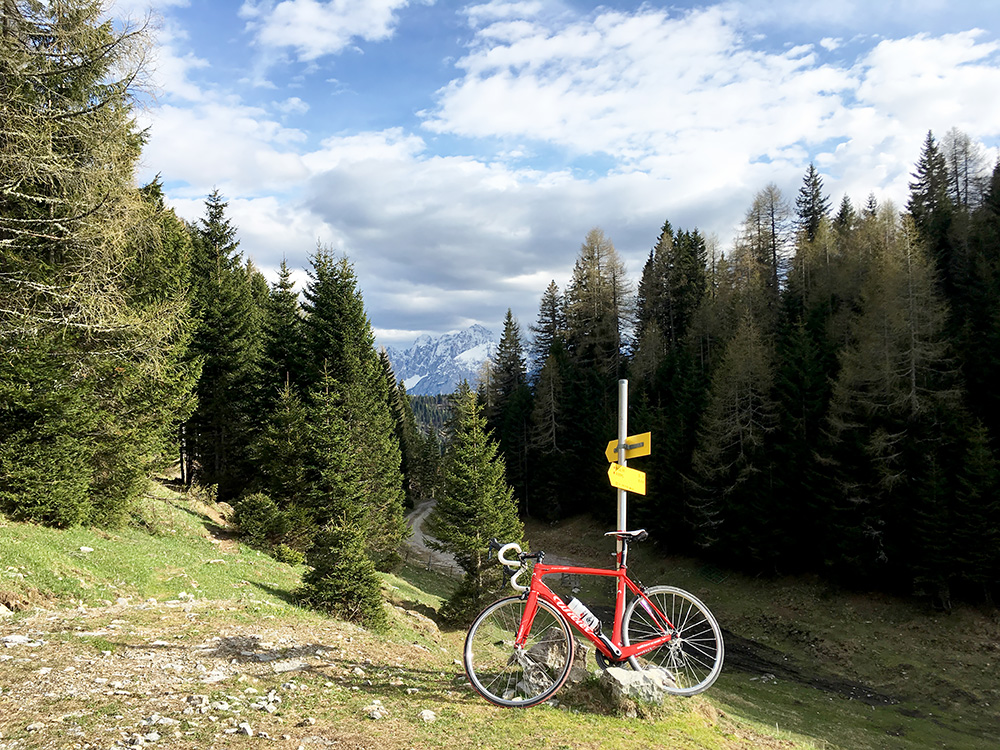 Dolinza Alm - Sella di Lom/Lomsattel