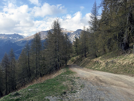 Col du Faut