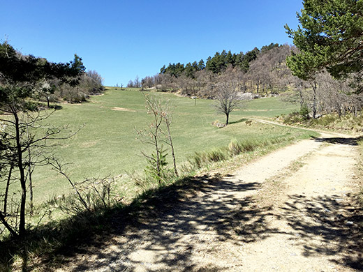 Col de Sgilire