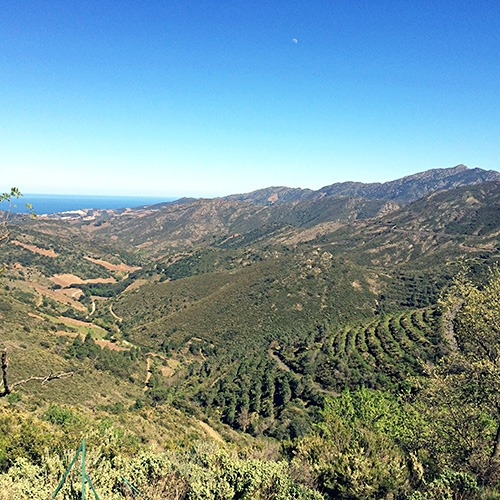 Coll de Banyuls