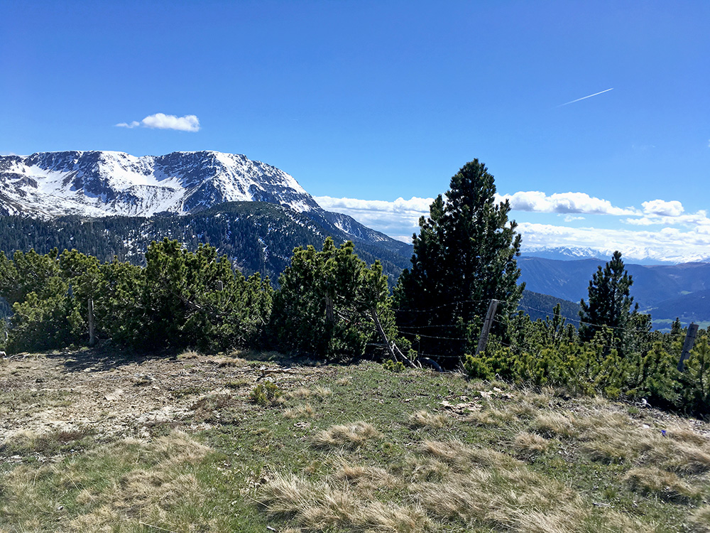 Pichlberg/Hoffmanwies Alm