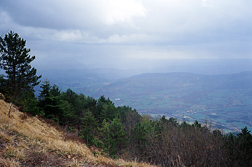 Monte Carpegna/Il Cippo