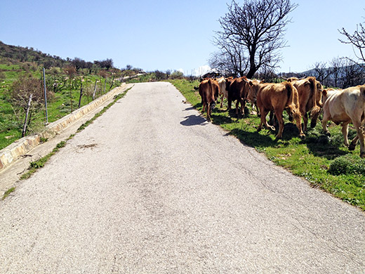 Passo della Ciambra