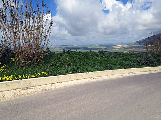 Salemi (west of)