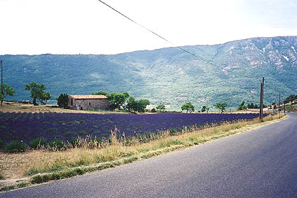 Col d'Ayen