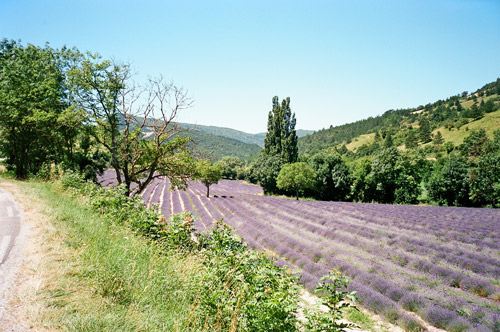 Col de Rousset