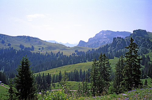 Meieberg/Gestelenpass