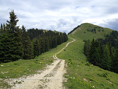 Achomitzer Alm/Malga Acomizza