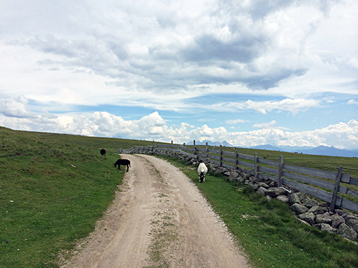 Rittner Horn/Corno del Renon