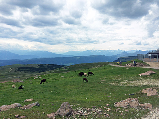 Rittner Horn/Corno del Renon