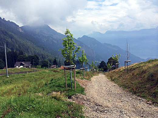 Rigi Kulm