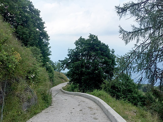 Passo della Forcella/Crist di Forchia