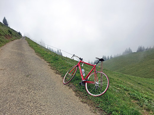 Obergelchenwang-Alpe/Leiterberg