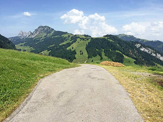 Col de la Scierne-au-Cuir