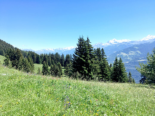 Chalets de la Faverge