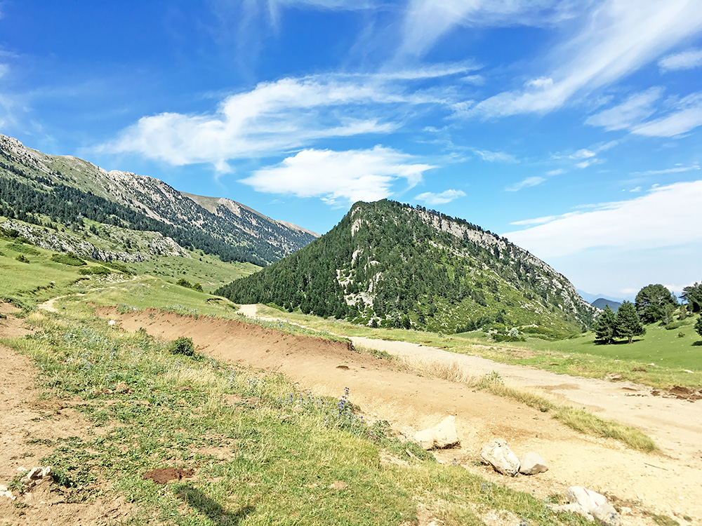 Coll de les Bassotes