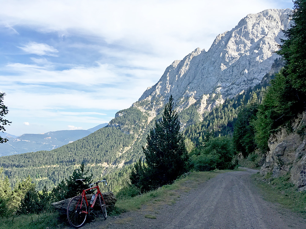 Coll de Pi Ajegut