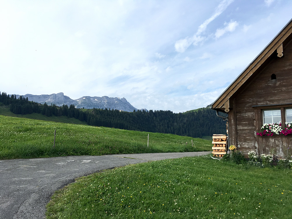 Scheidegg