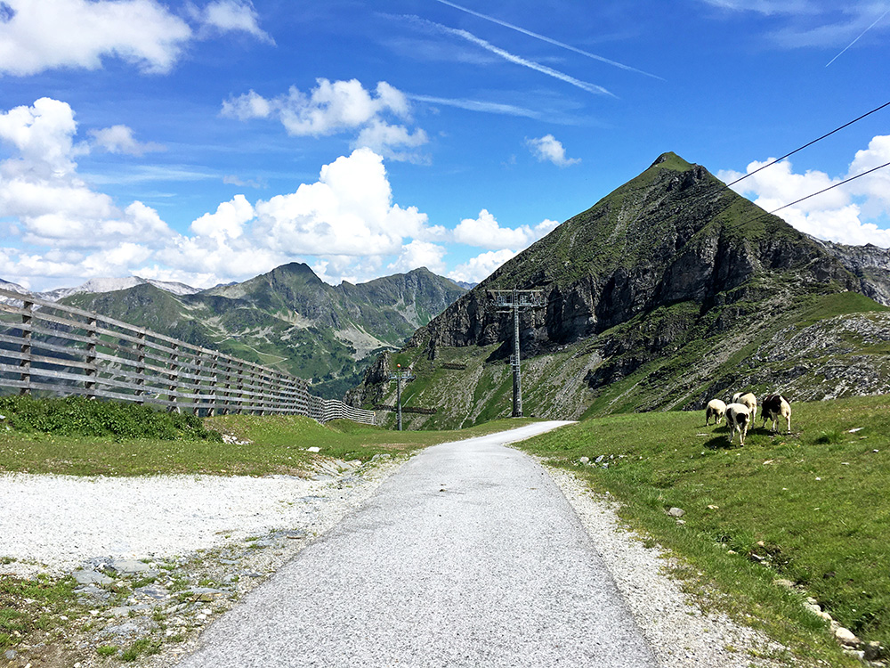 Brettsteinalm/Brettsteinalpe