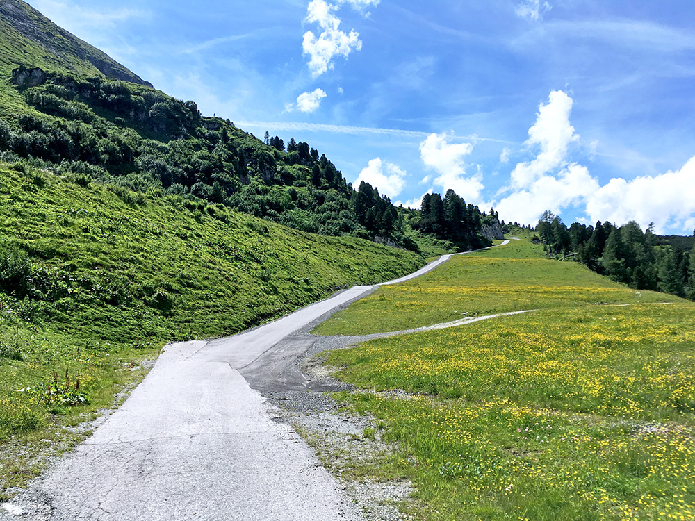 Brettsteinalm/Brettsteinalpe