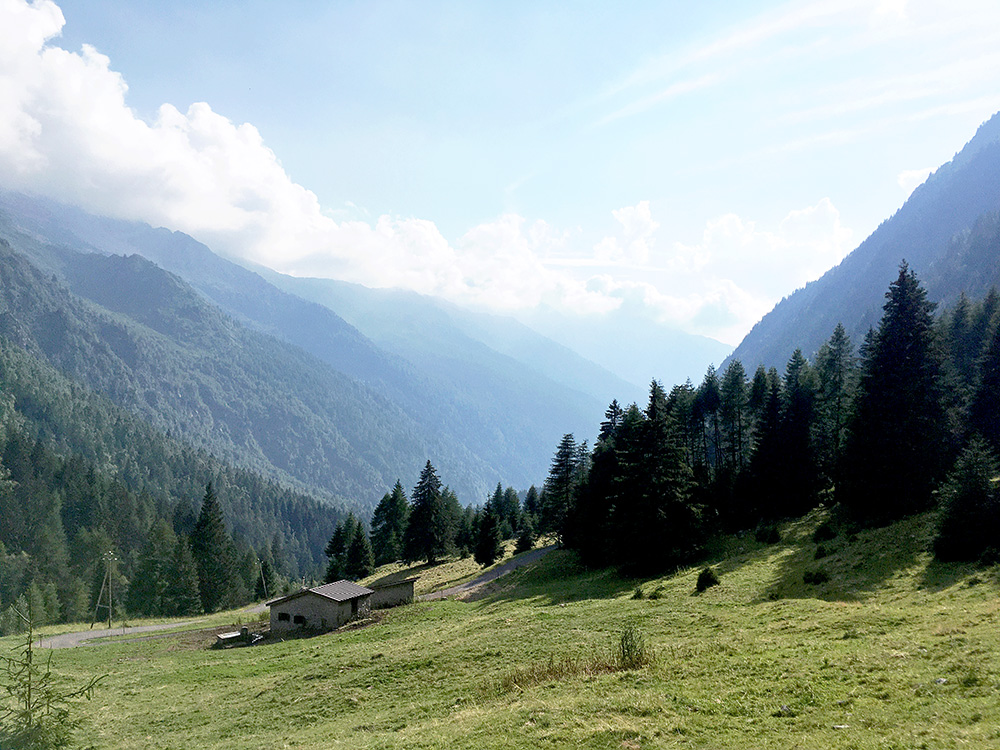 Malga Lincino/Val di Saviore