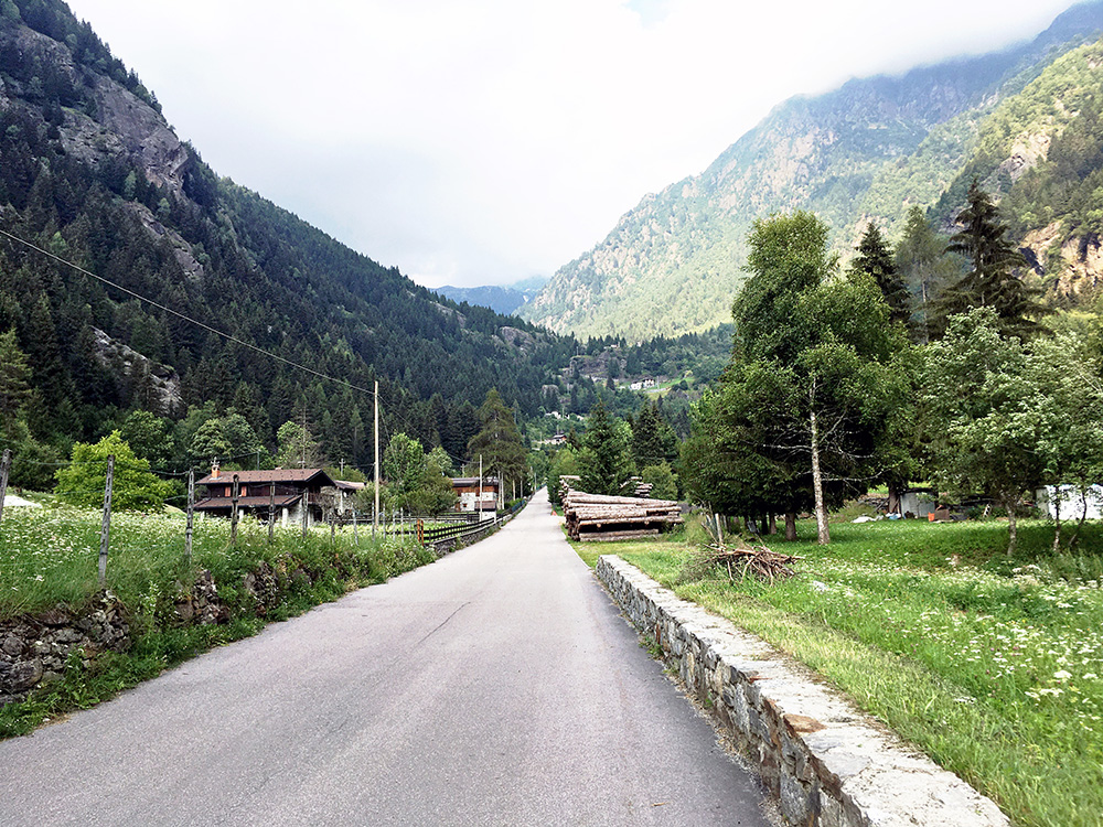 Malga Lincino/Val di Saviore