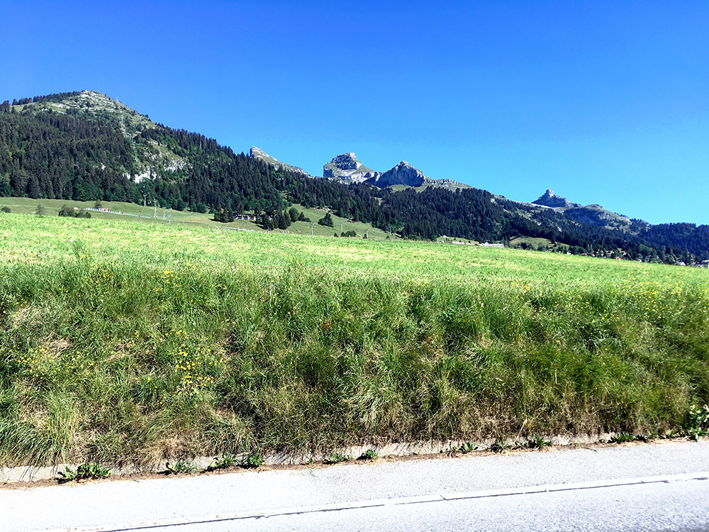 Leysin