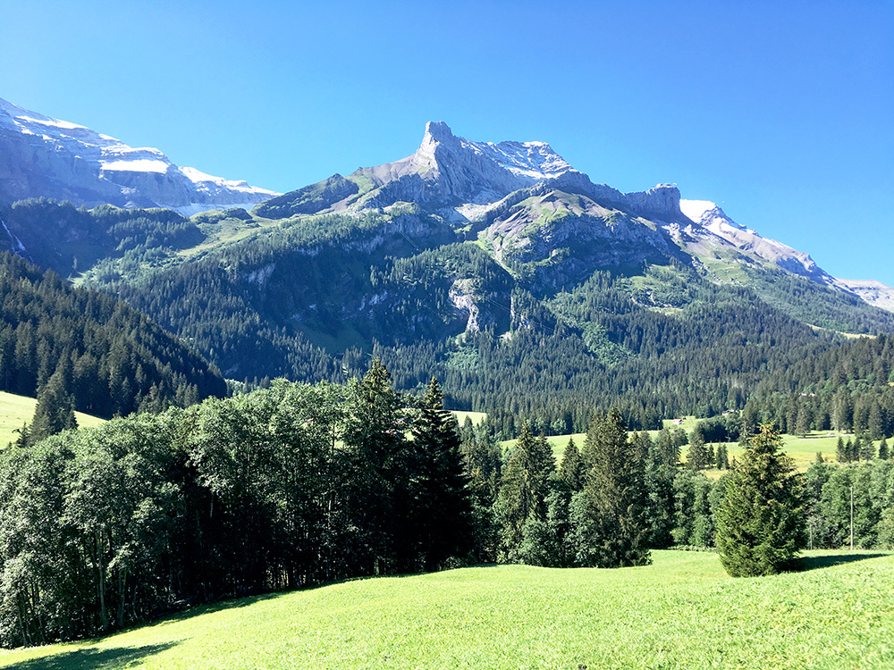 Col du Pillon