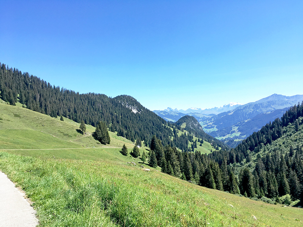 Col du Pillon