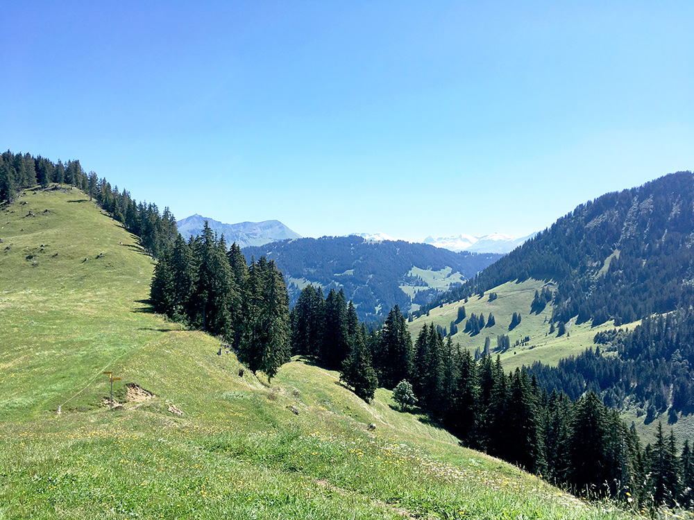 Col de Wild Boden