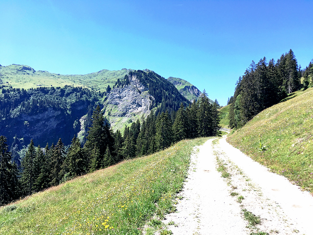 Col de Wild Boden