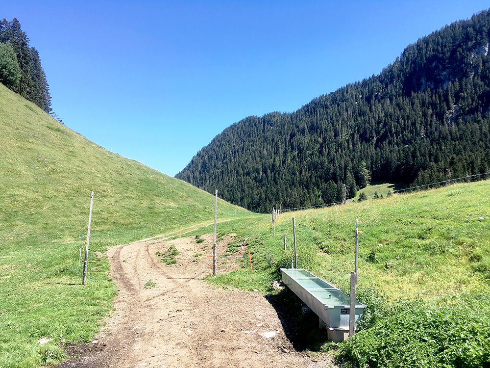 Col des Planards