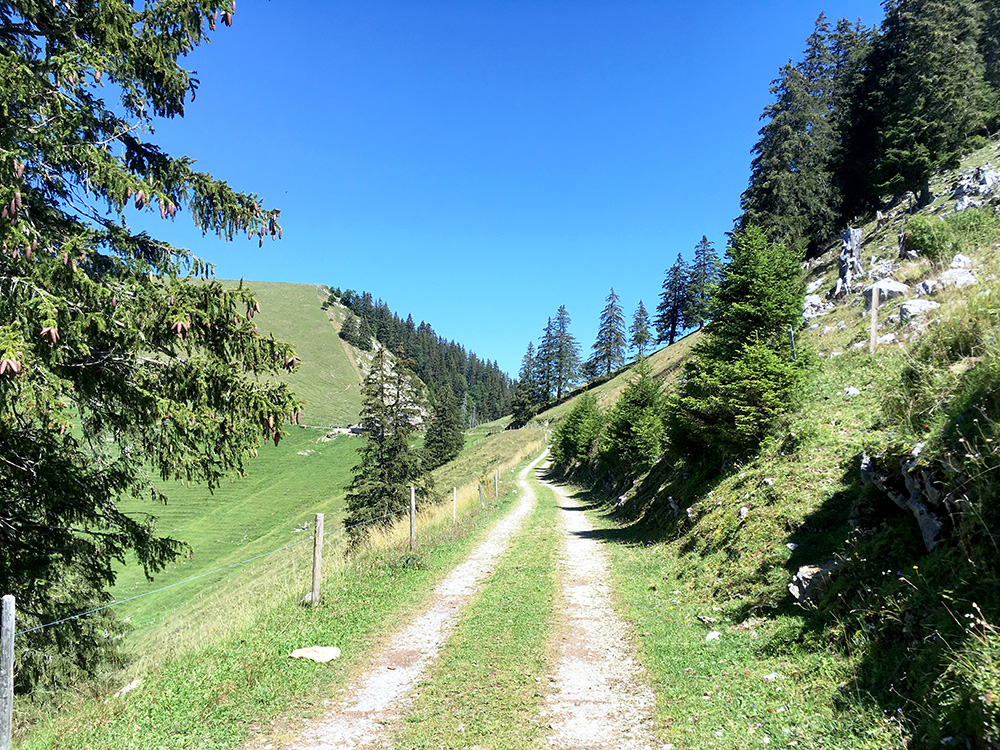 Col des Haut-Crts